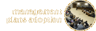management plans adoption