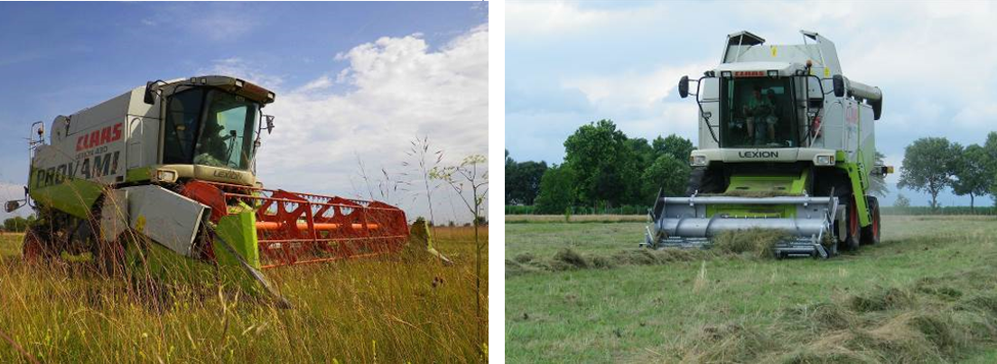 Comparison between the combine harvesting technique (2013 campaign: blooming cutting with "standing" grass), and threshing (2014-2015 campaigns: blooming cutting mowing and raking)