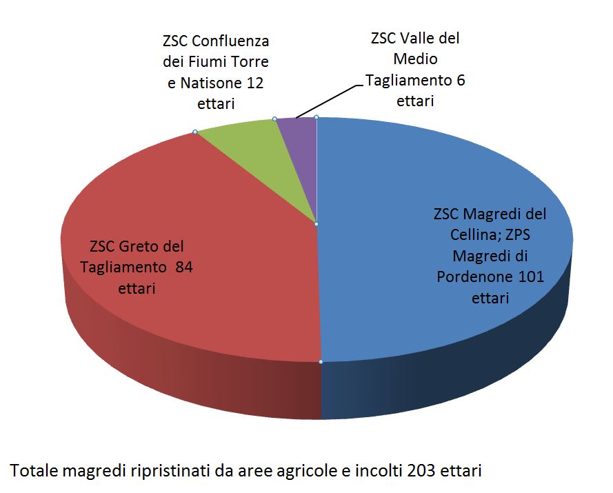 Il grafico mostra le superfici ripristinate a magredo a partire da aree agricole e incolti ripartite fra i 4 siti Natura oggetto degli interventi, al 30 giugno 2019