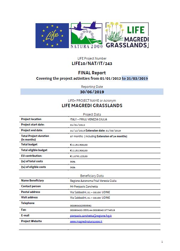 The final report of June 30 2019, delivered by the European committee