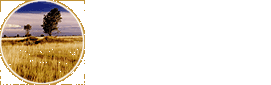 LE “STEPPE” FRIULANE”